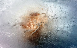 Photographer Robert Zuchowski